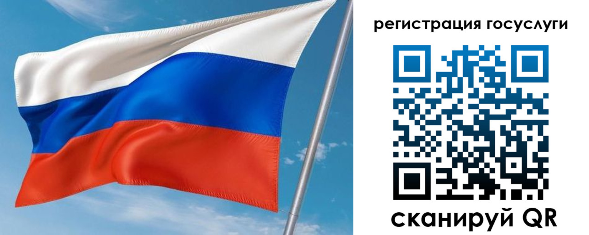 миграционный учет в Курской области