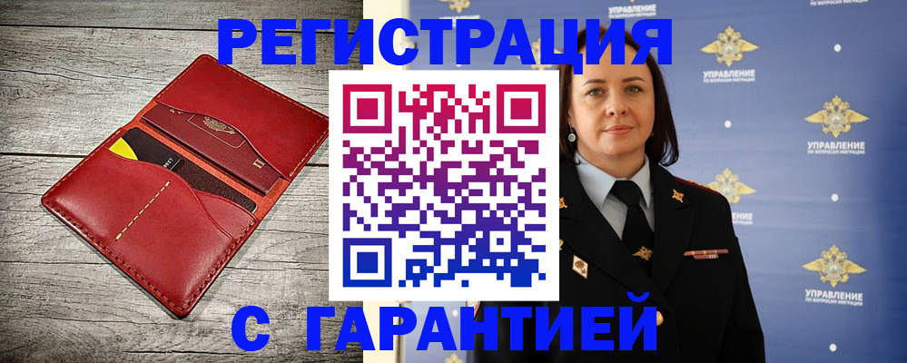 прописка поиск в Курской области