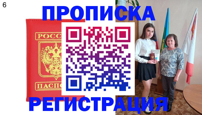 временная регистрация поиск в Курской области